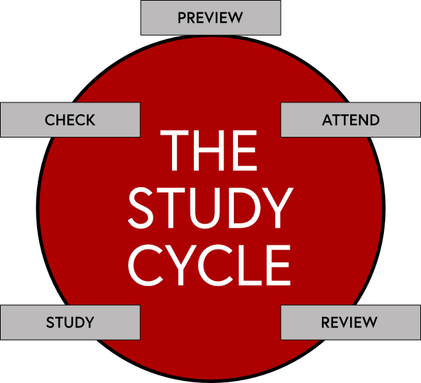 The Study Cycle Graphic